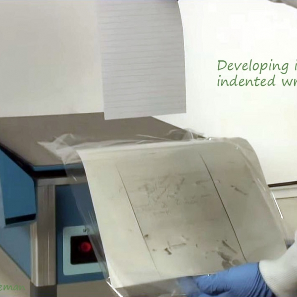San diego handwriting forensic analysis from linda mitchell